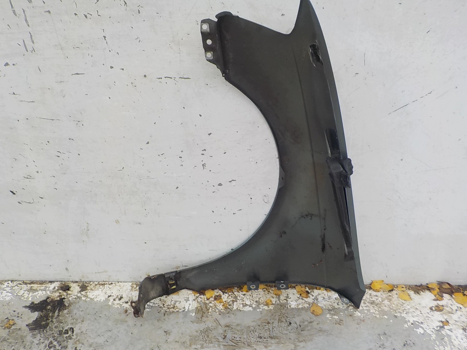 982 AUDI A3 II 8P LIFT 08-12 fender right front front