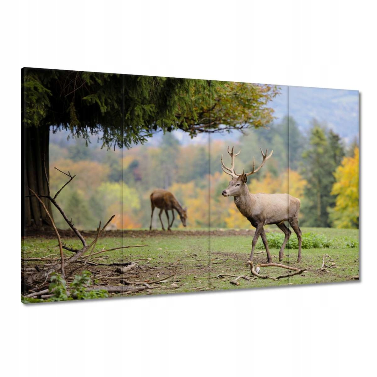 Obrazy 120x80 Jelen s milovanou jelenkou