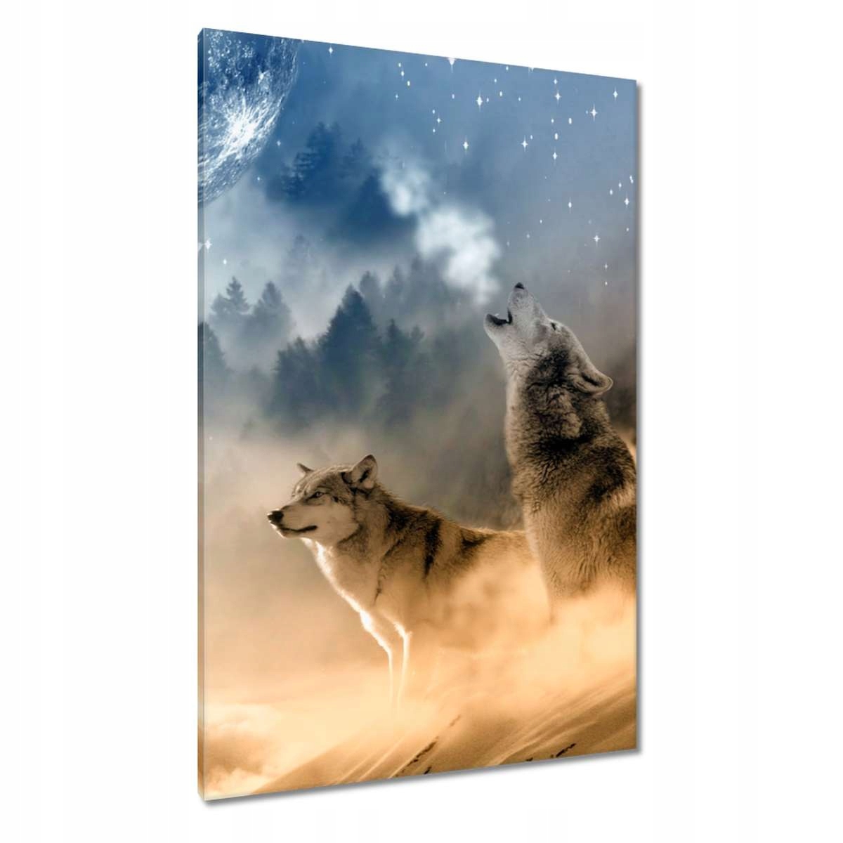 Obrazy 80x120 Vlk vyjící k měsíci