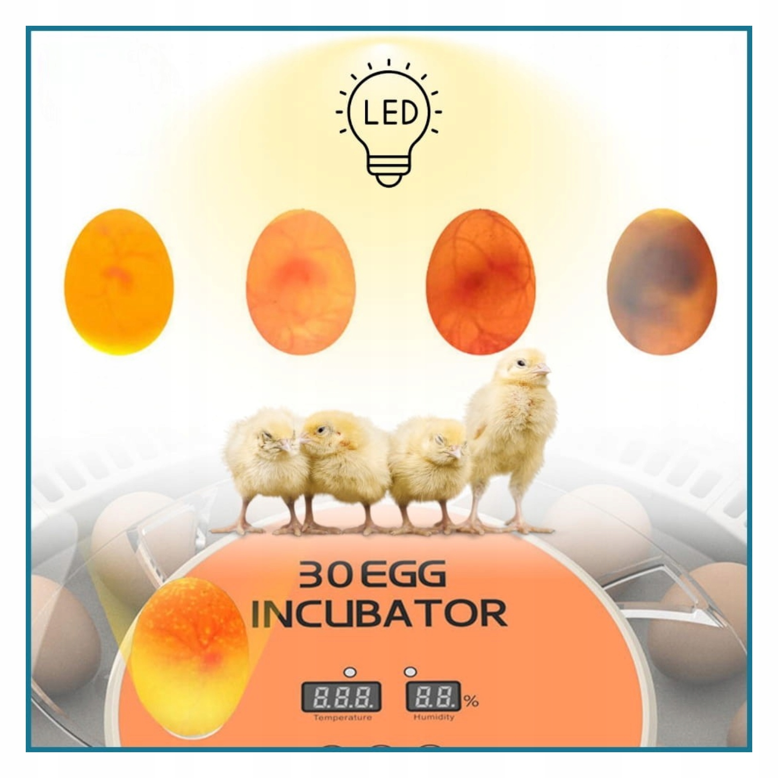 Inkubator Automatyczny 30H Do 30 Jaj Z Owoskopem Wylęgarka Drobiu Automat EAN (GTIN) 5905274873723