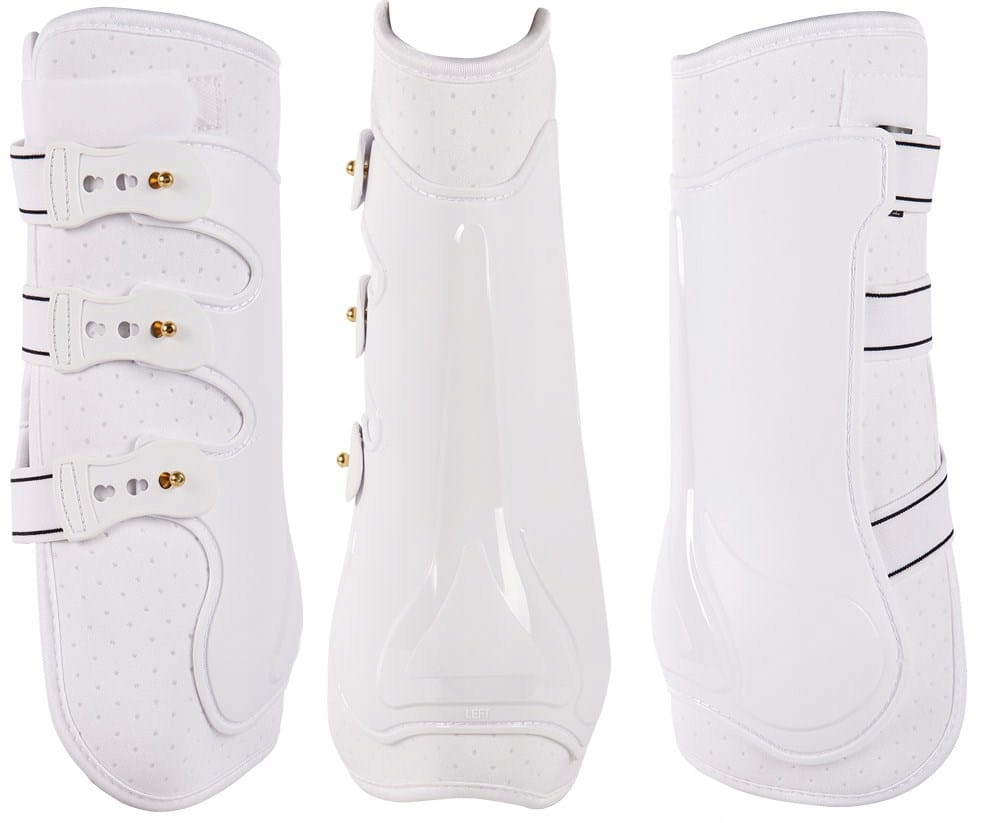 Ochranné chrániče Harry's Horse EliteR GrandPrix Dr zadní na kolíky bílé Cob