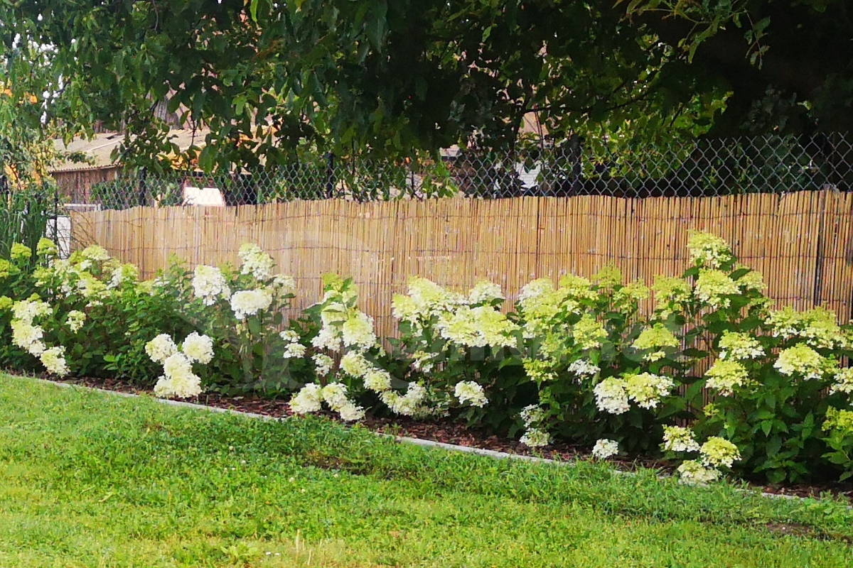 Osłona MATA BAMBUSOWA OSŁONOWA z LISTEW BAMBUSU 1,2x2m na balkon taras płot Marka inna