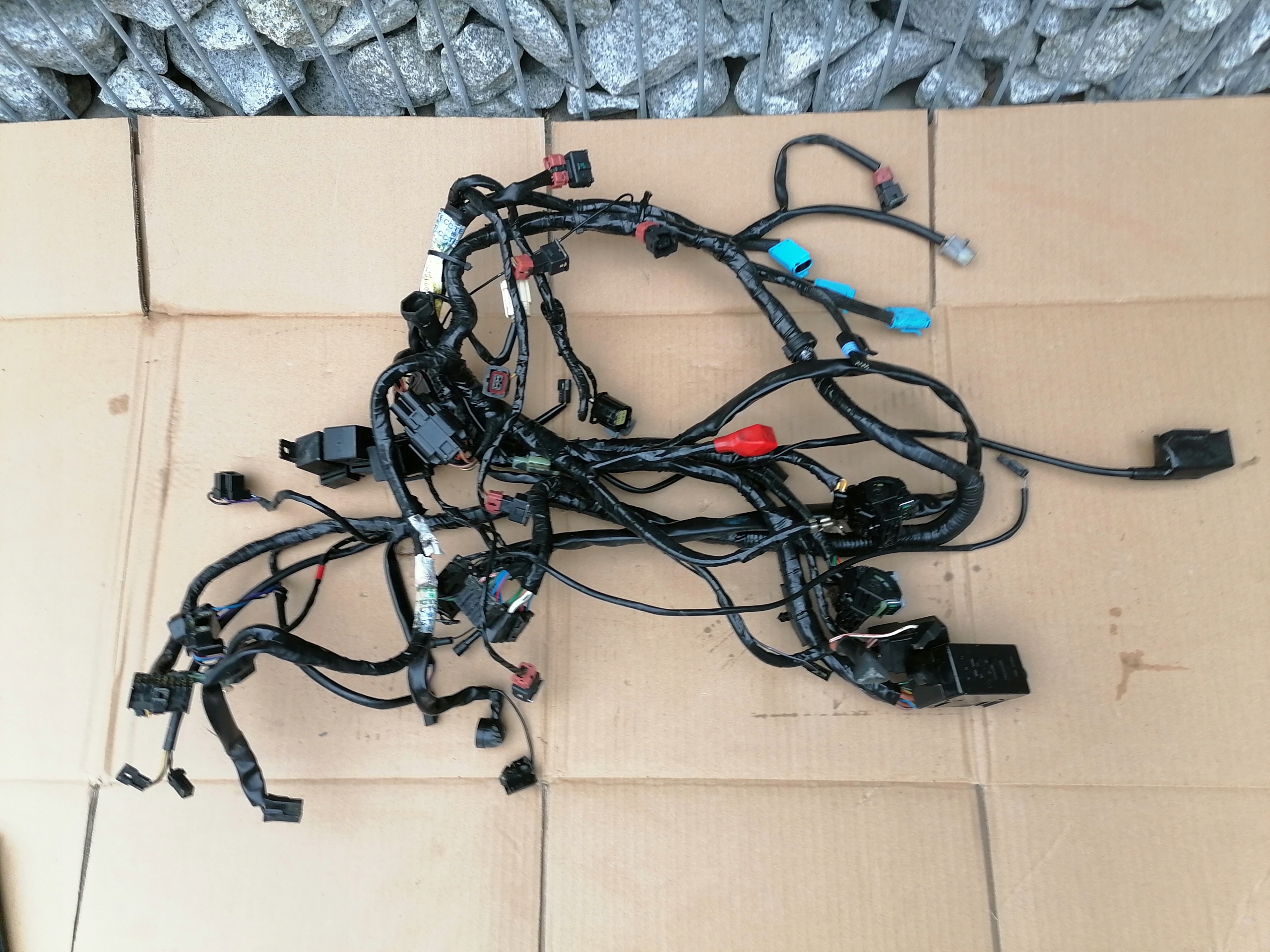 Tri955-9 - TRIUMPH SPRINT ST 955 головний Джгут проводів