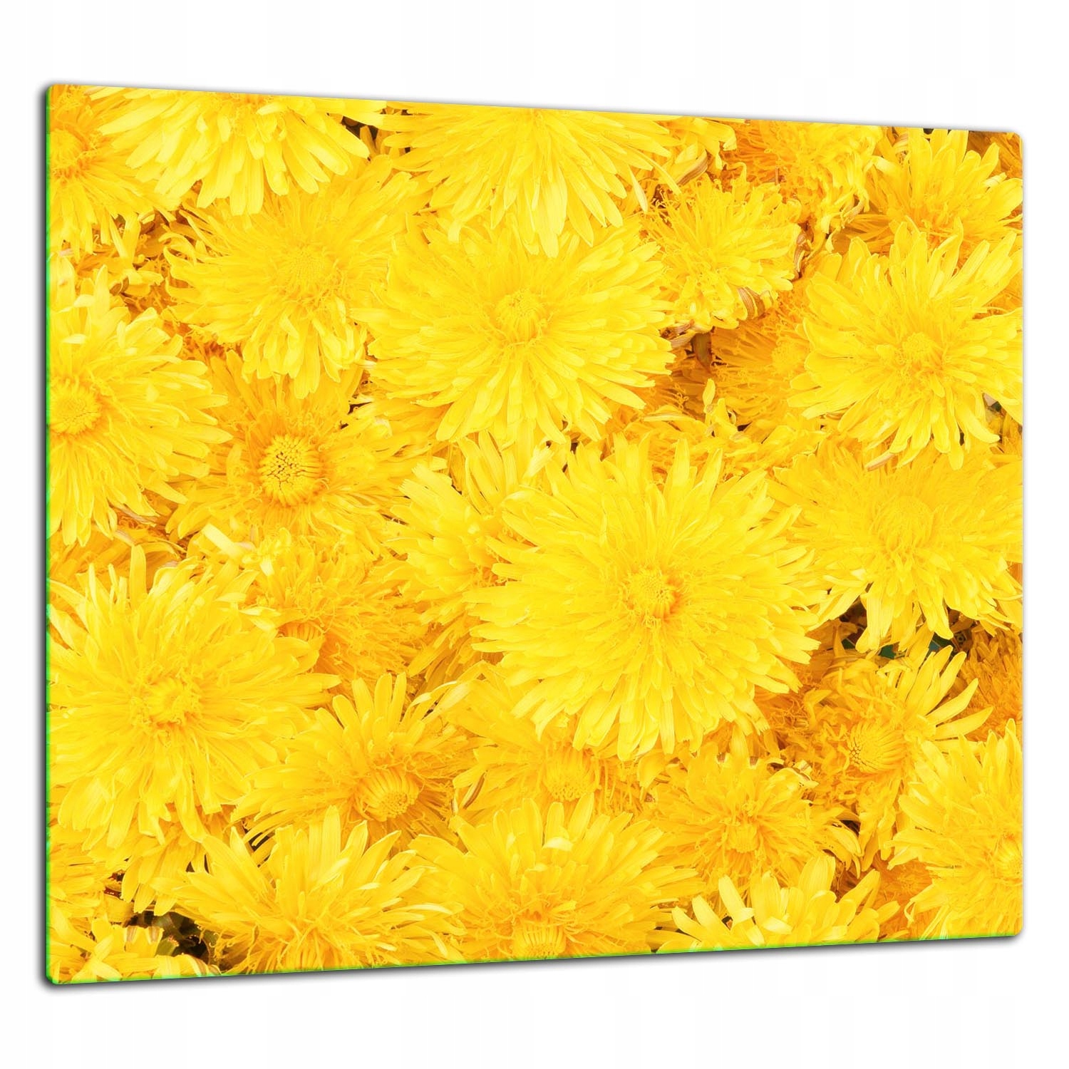 Skleněná Ochranná Deska Panel Lepidlo 65x60 Květiny