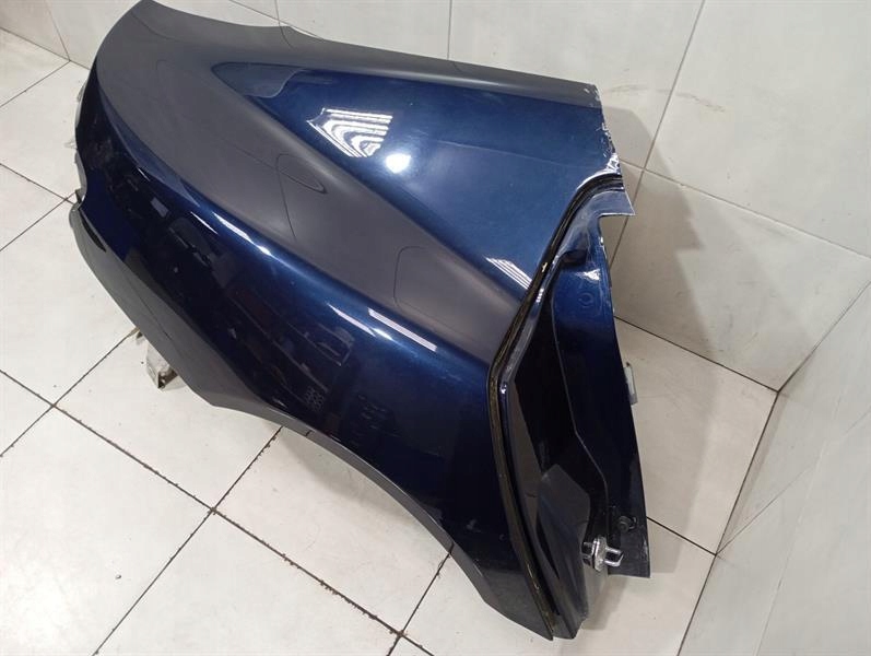 Aston Martin DB9 13-16 панель CG43L1846AA Fender