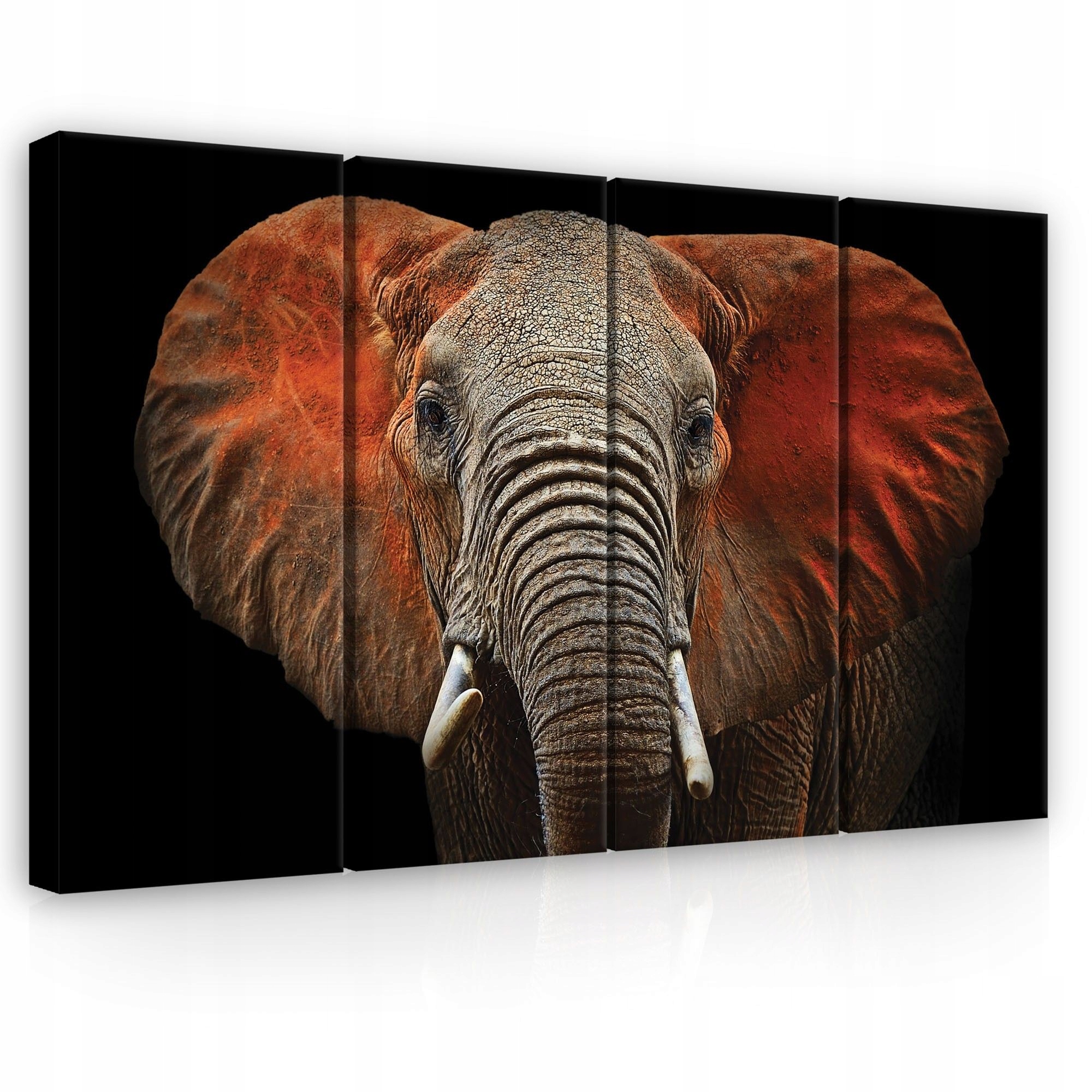 Obraz 120x80 Slon africký portrét zvieraťa Afrika príroda