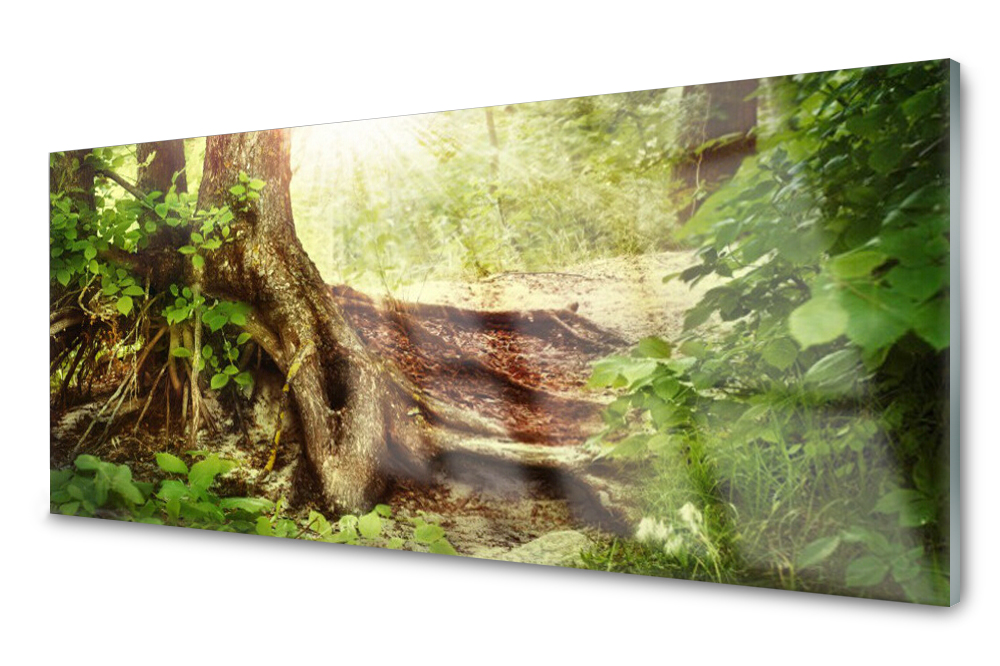 Sklenený panel do kuchyne Strom kmeňa lesa 125x50