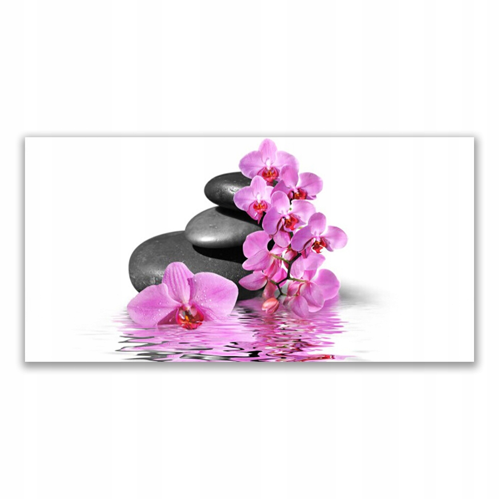 

Fotoobraz na prezent 120x60 Piękny Kwiat Kamienie