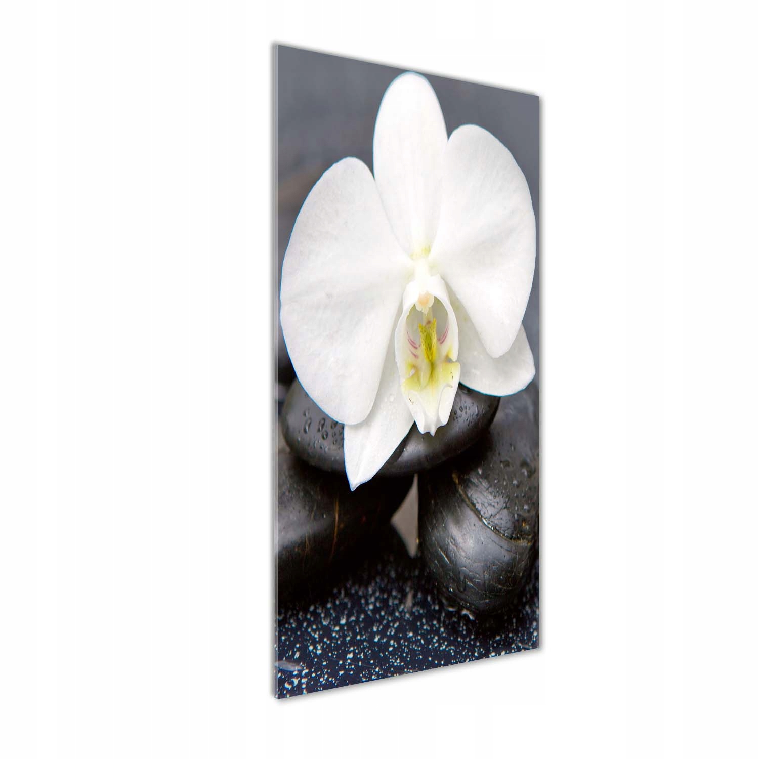 

Foto obraz akrylowy Orchidea i kamienie 50x125cm
