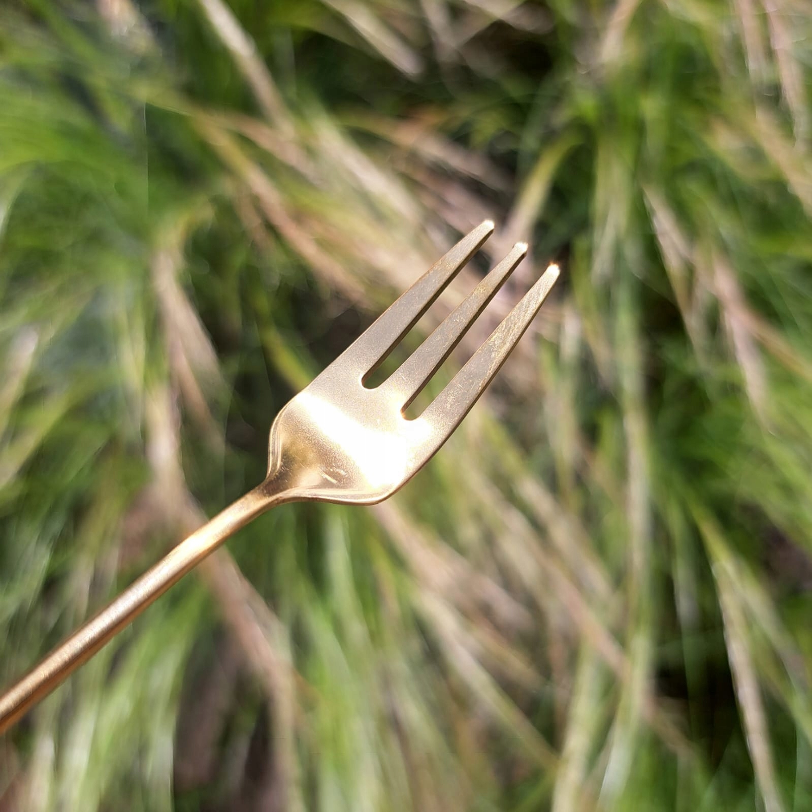 WIDELEC WIDELCZYK KOT KOTEK na PREZENT ZŁOTA 1szt Linia GW