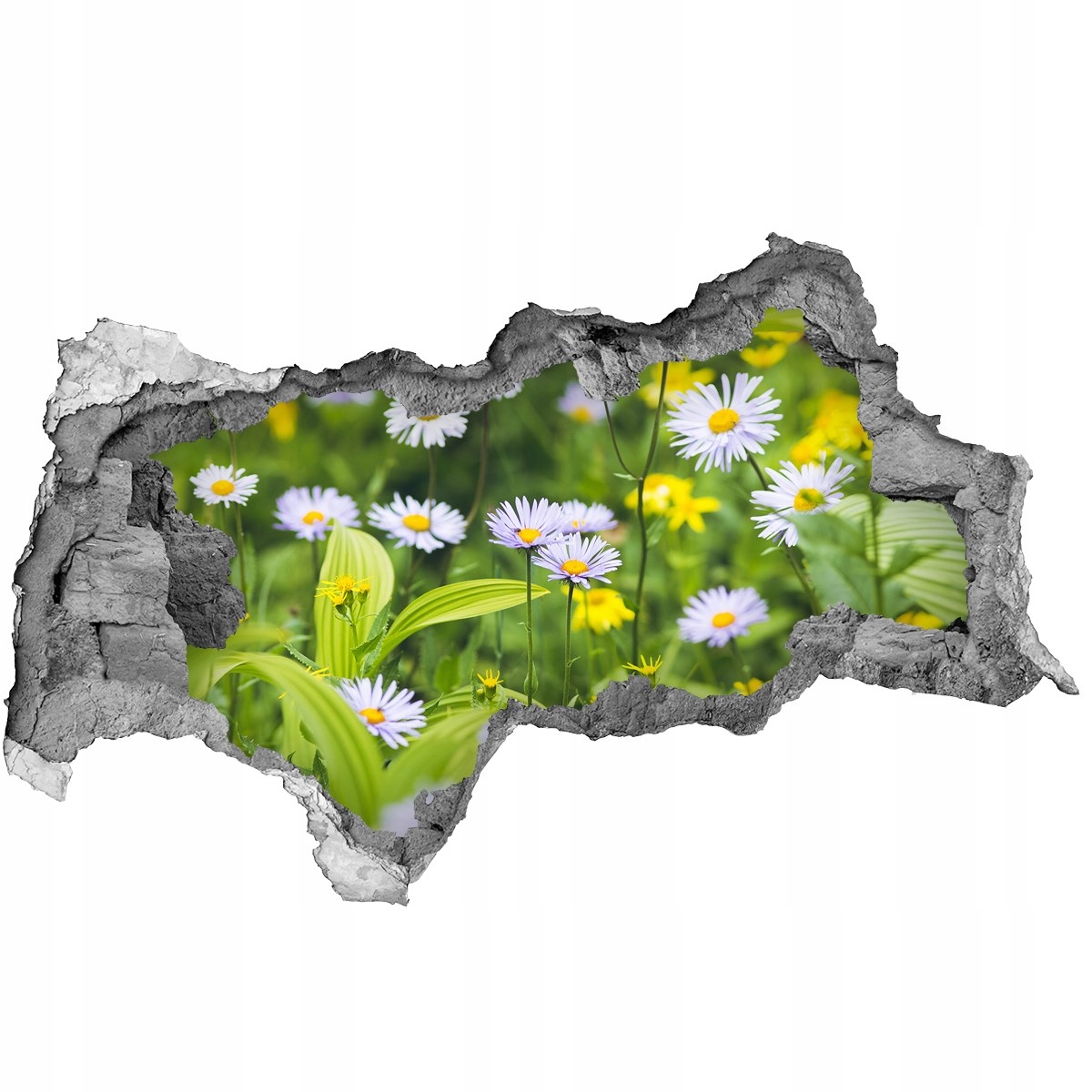 

Samoprzylepna Naklejka na ścianę Stokrotki 95x73