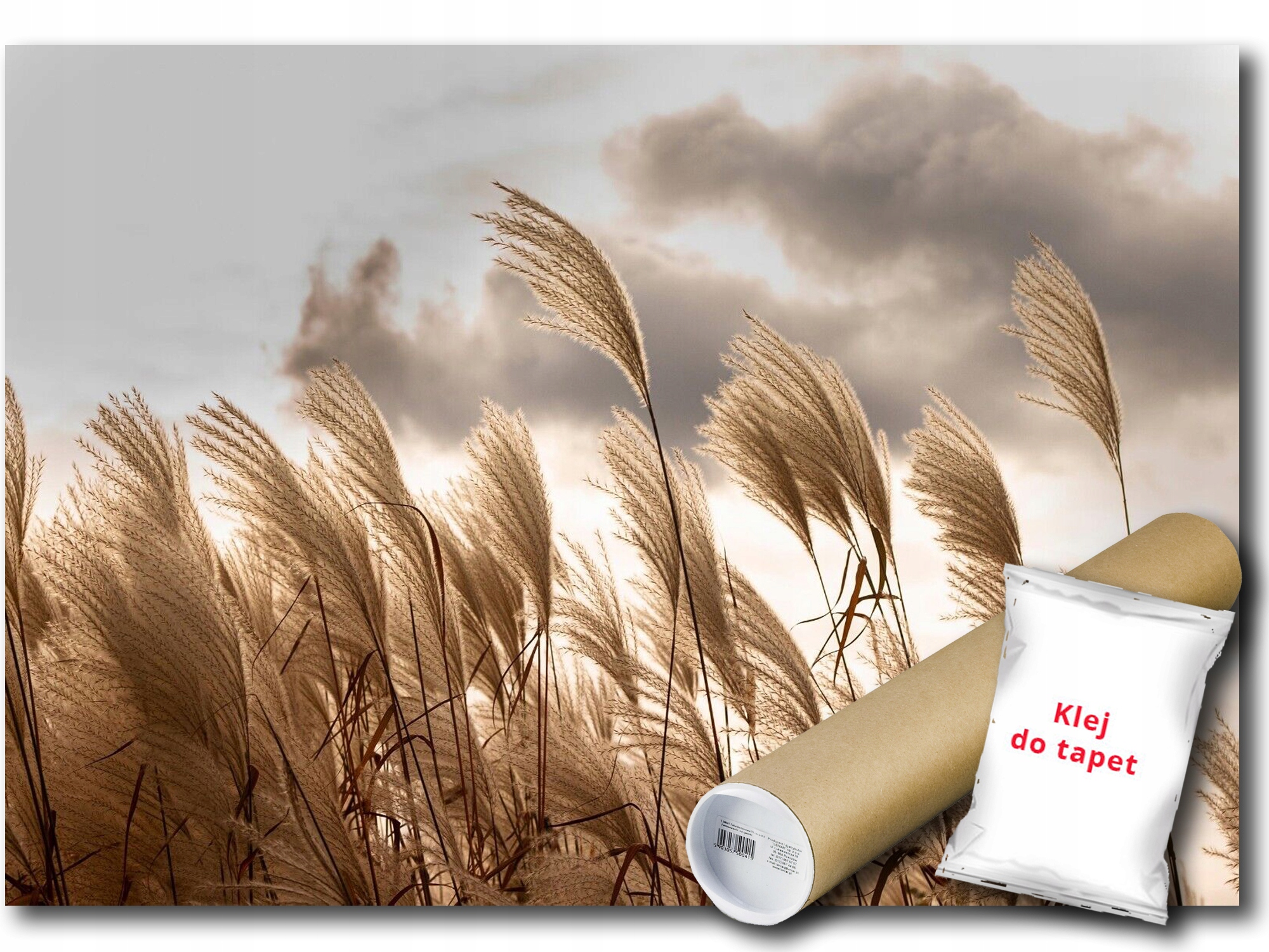 Vinylová Fototapeta Tráva Pampasová 208x146