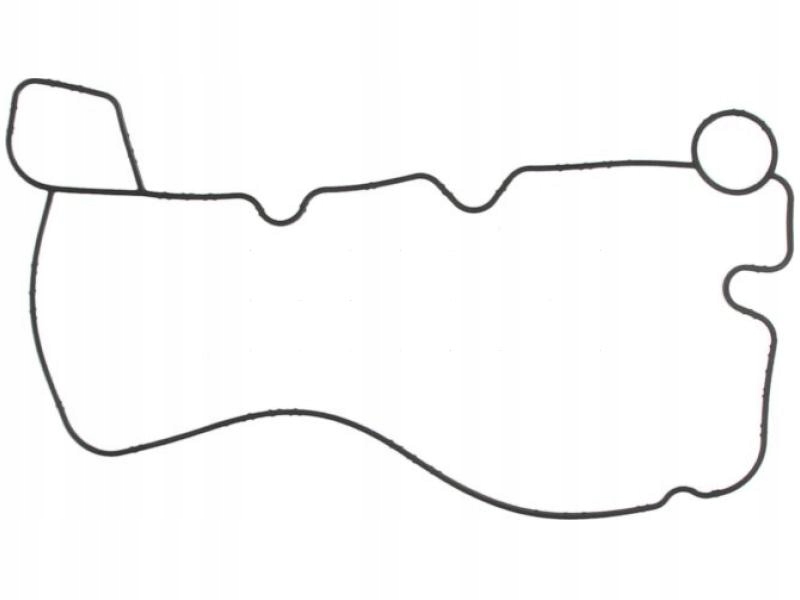 012.300 - Прокладка маслоохладителя Neoplan Trendliner