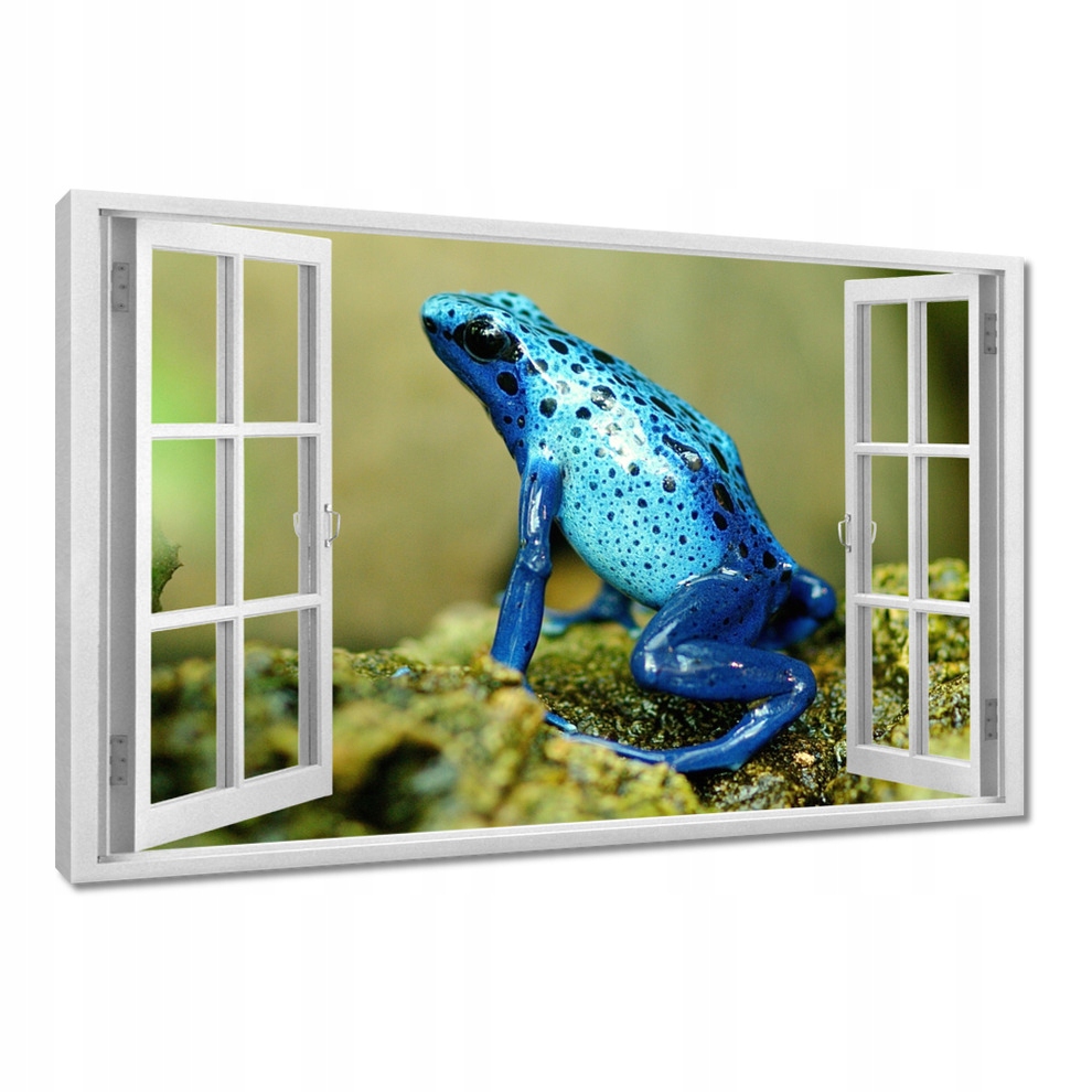 

Obrazy 120x80 Zwierzęta Zwierzątka