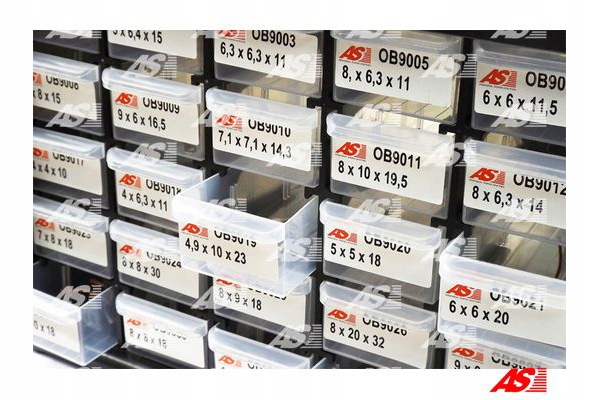 AS-PL ZESTAW STARTOWY SZCZOTEK WĘGLOWYCH Producent części AS-PL