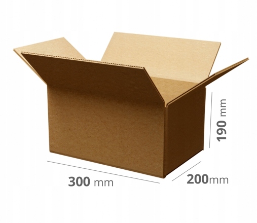 100 szt. Karton Pudło klapowe 300x200x190 szare 3W B 380g/m2 Gabaryt B
