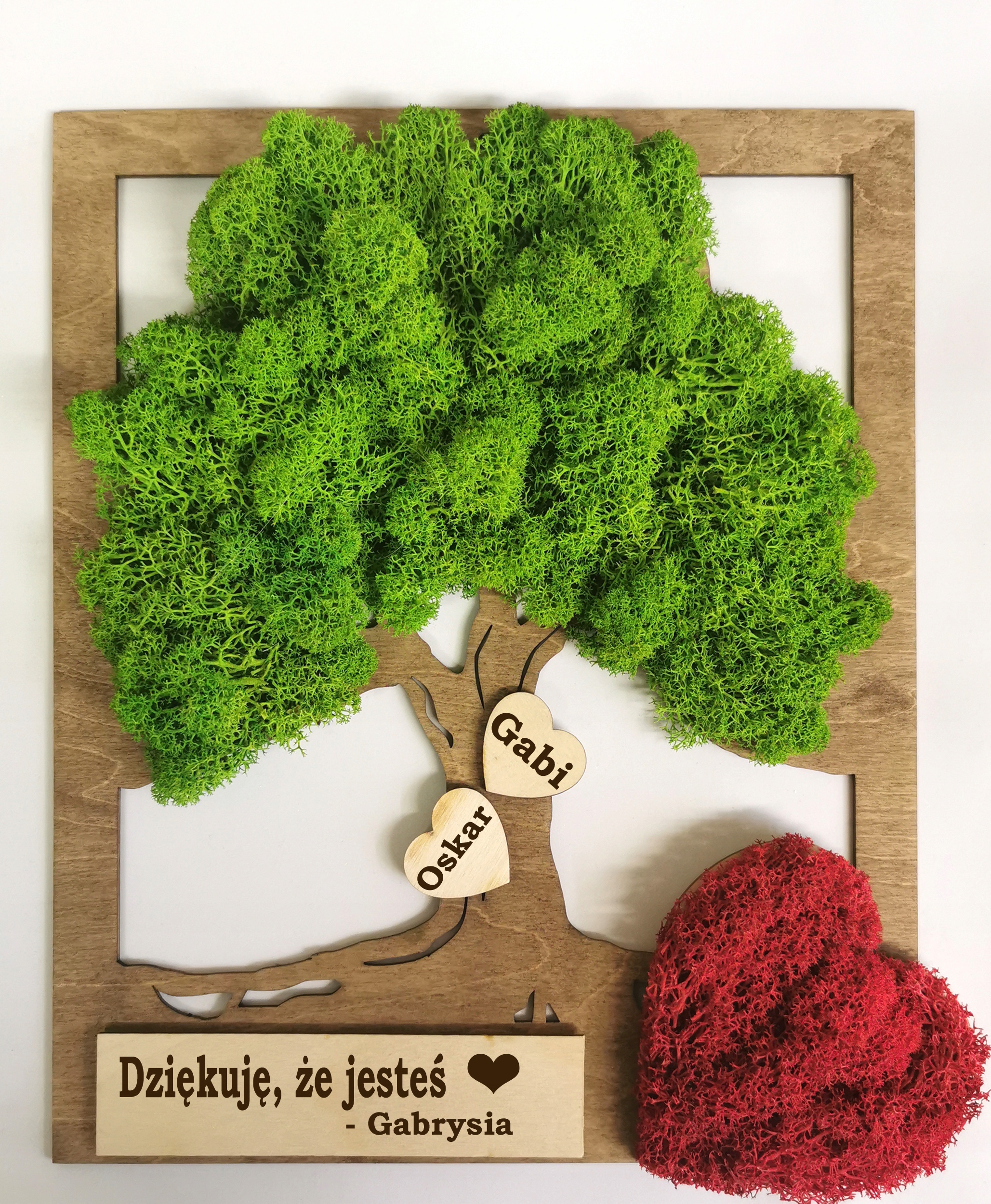 Obraz Dřevo Mech 25/30 nápis Valentýn červené srdce Dedikace