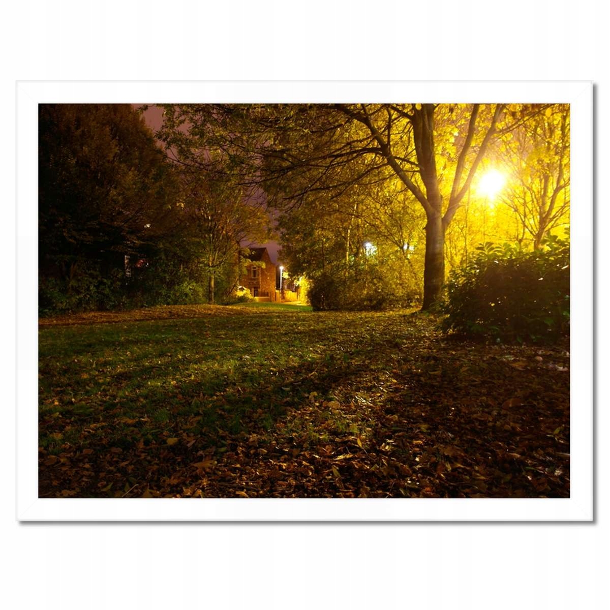 Plakáty v rámu 40x30 Park v noci na podzim