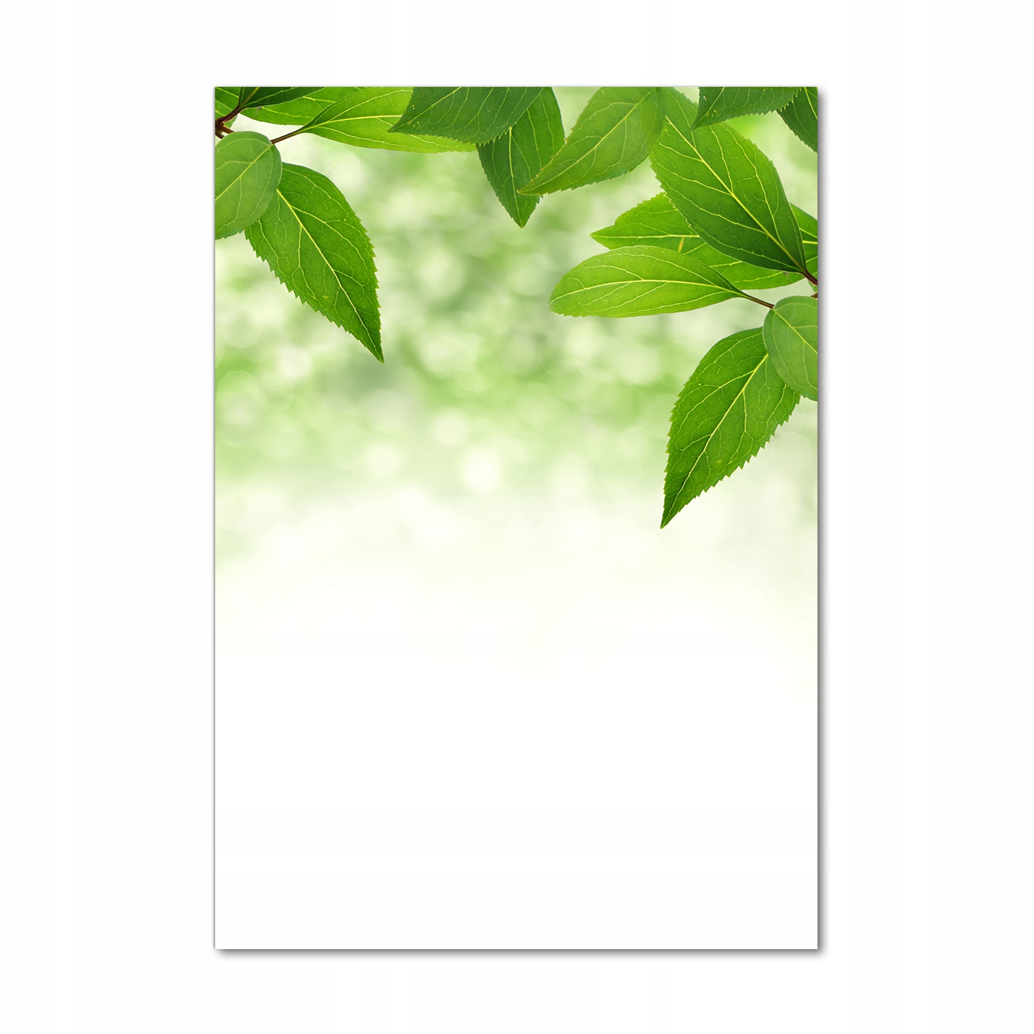 

Foto obraz akryl do salonu Zielone liście 70x100cm