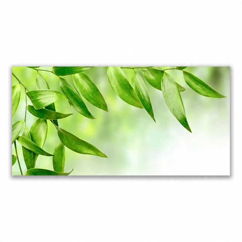 

Fotoobraz z nadrukiem 120x60 Zielone Liście Natura