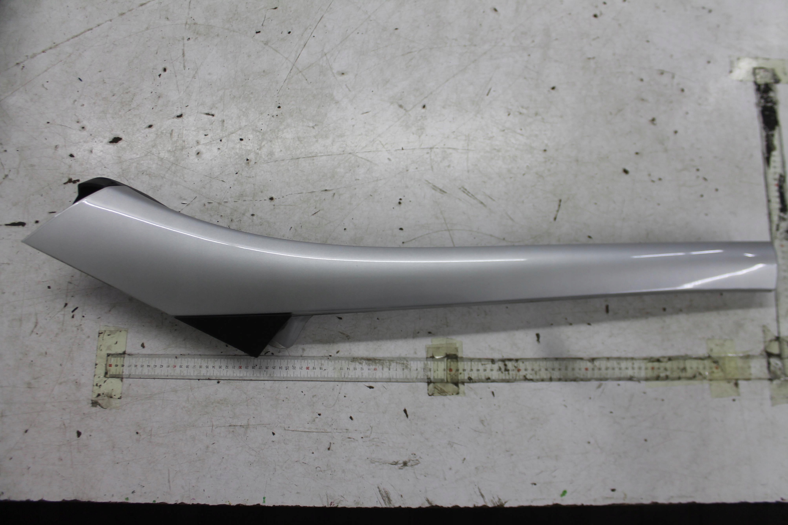 moulding SLUPKA left front SCENIC III TED69 09-16