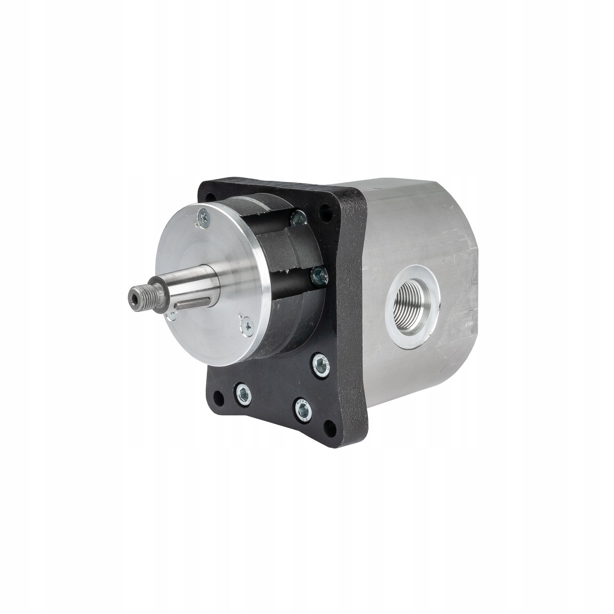 APZS-KP2-25 - НАСОС HYDR. PZS-KP2 - 25 BIZON НОВЫЙ ТИП HYLMET