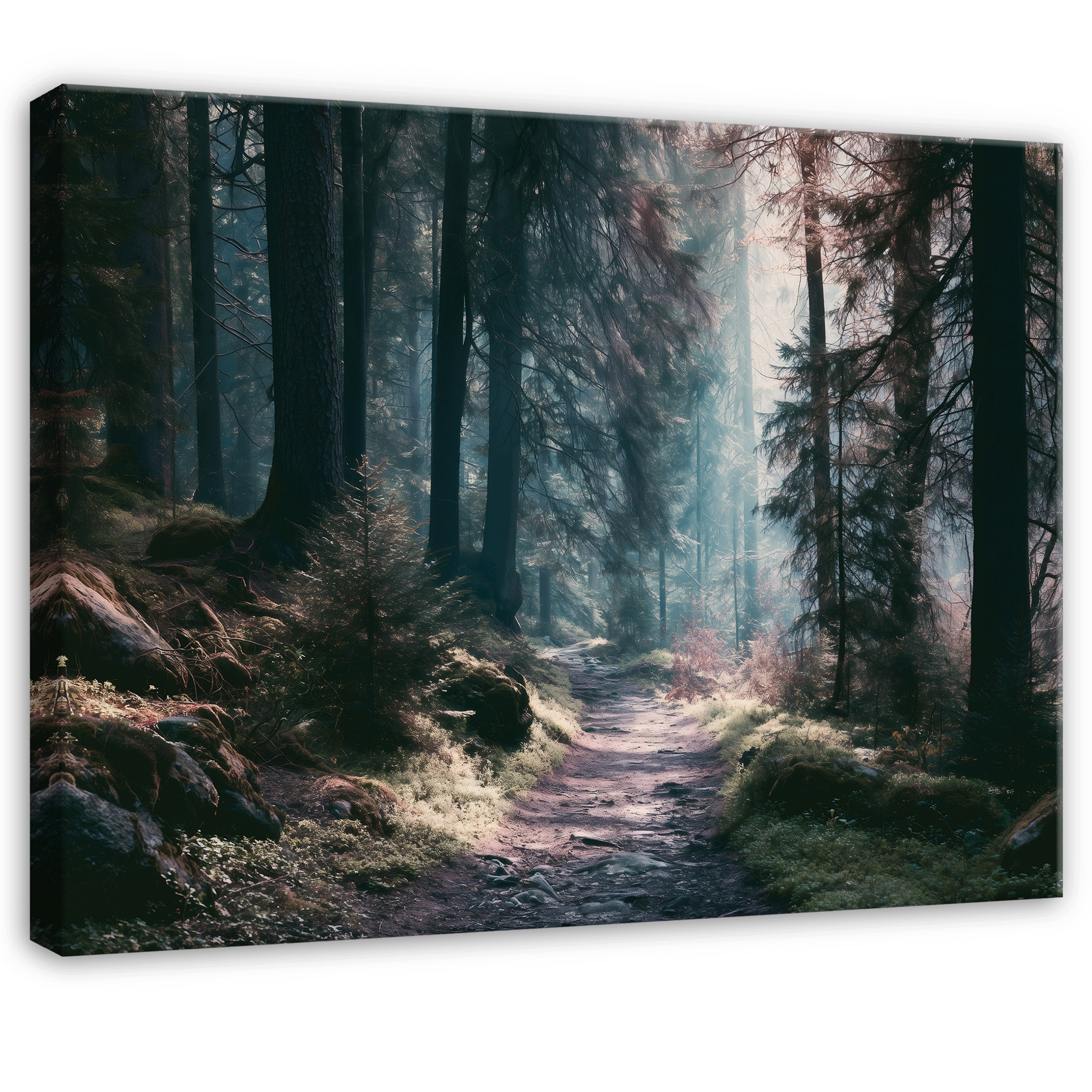 Obraz Les Stromy Příroda Krajina Do Ložnice Obývacího Pokoje Na Plátně 90x60