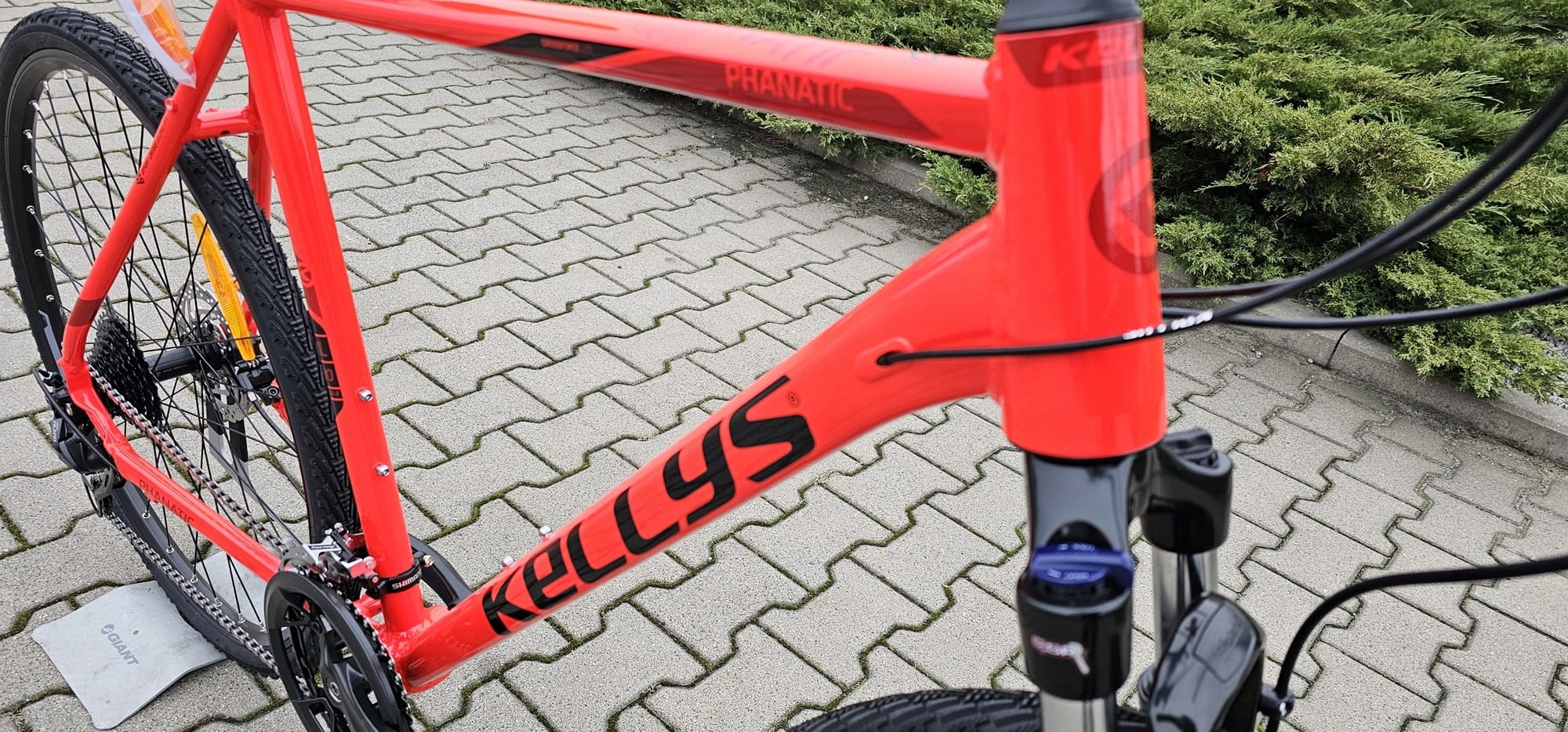 KELLYS PHANATIC 10 2023 RED M-19" ROWER-SPORT_PL Hamulce tarczowe hydrauliczne