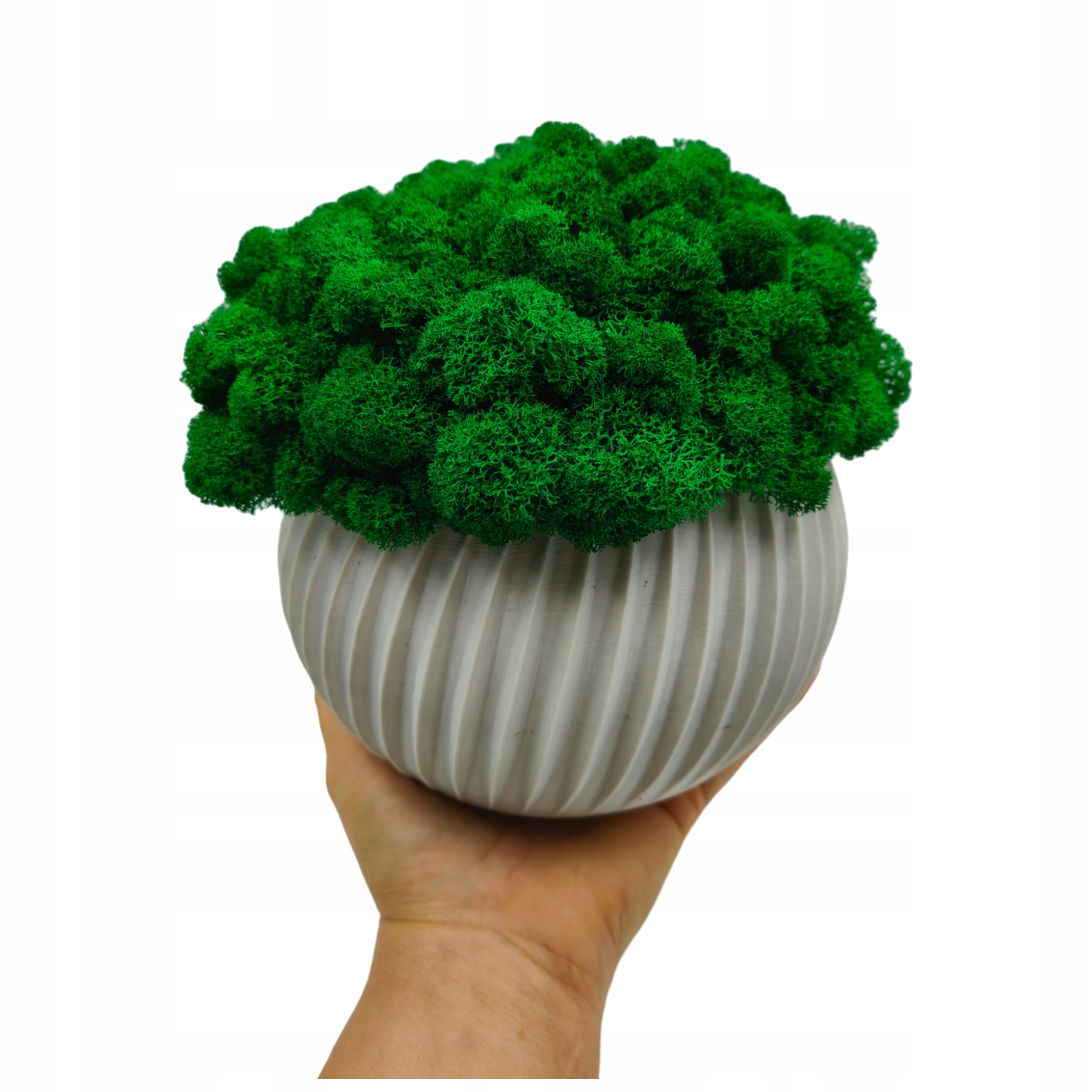 Květináč s mechem chrobotkem 23 cm Mech Chrobotek v květináči, šedý, 3D tisk