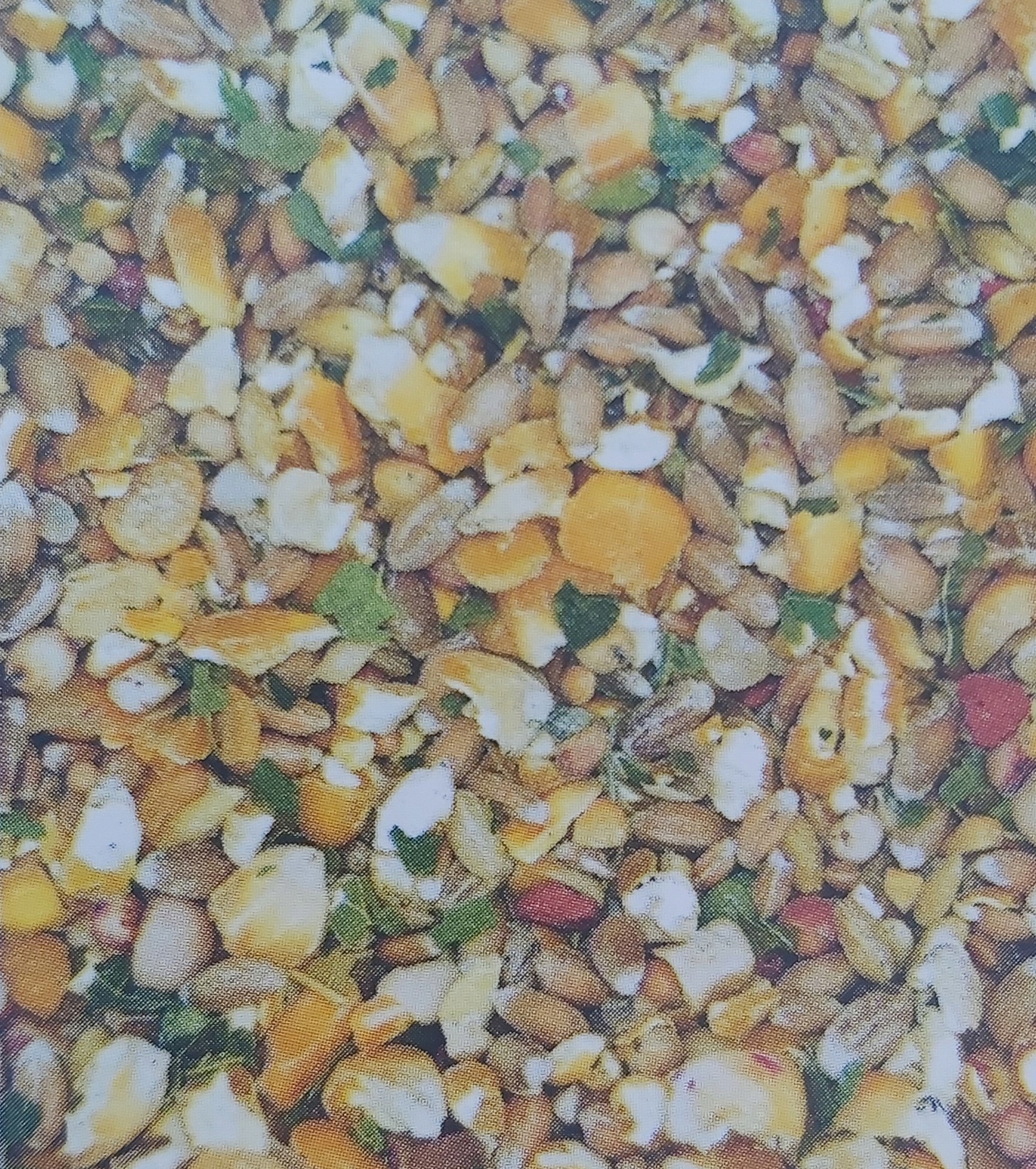 Pasza dla kur niosek bez GMO z ziołami 25kg EKO KN Marka MDM