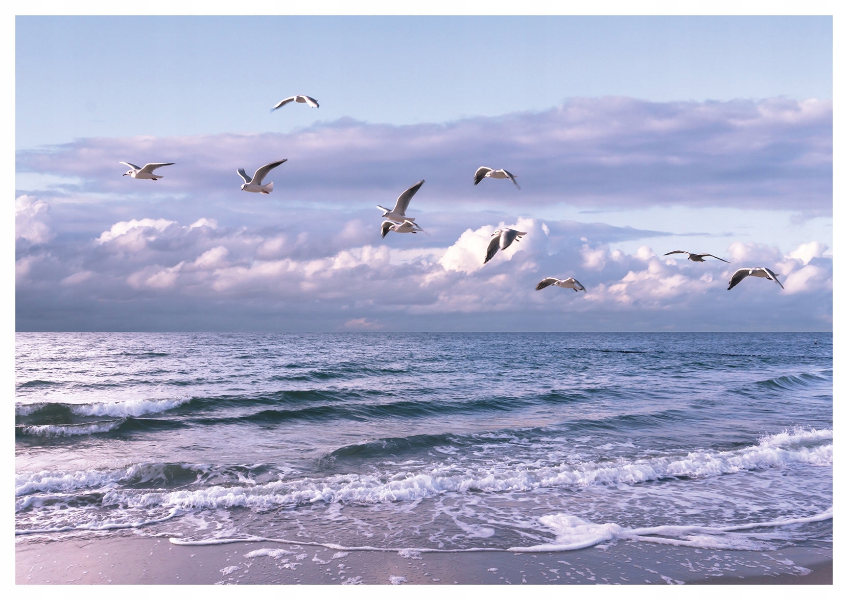 Fototapeta More Pláž Čajky Vlny Relax Vinyl 460x300 lepidlo