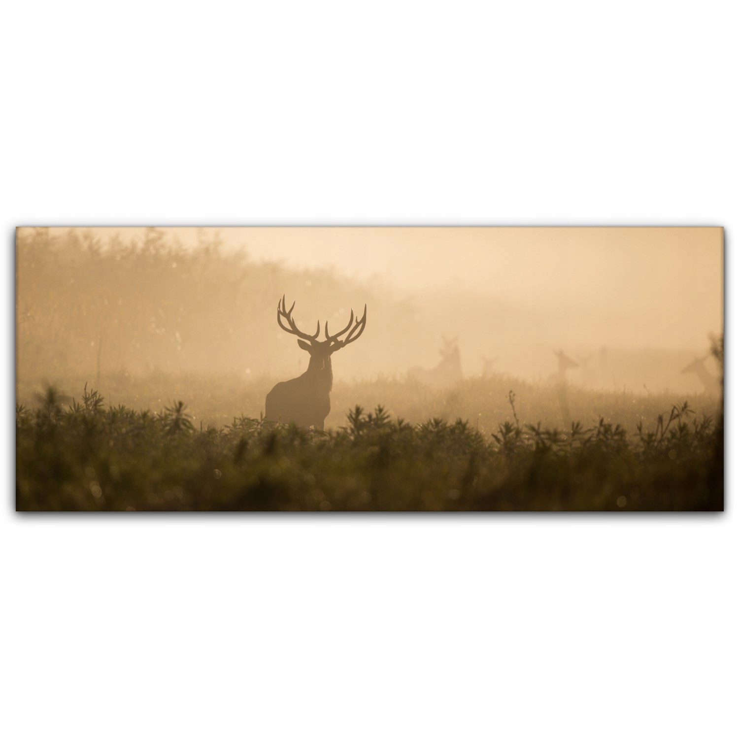 

Obraz płótno z foto 125x50 Jeleń Mgła Las Natura