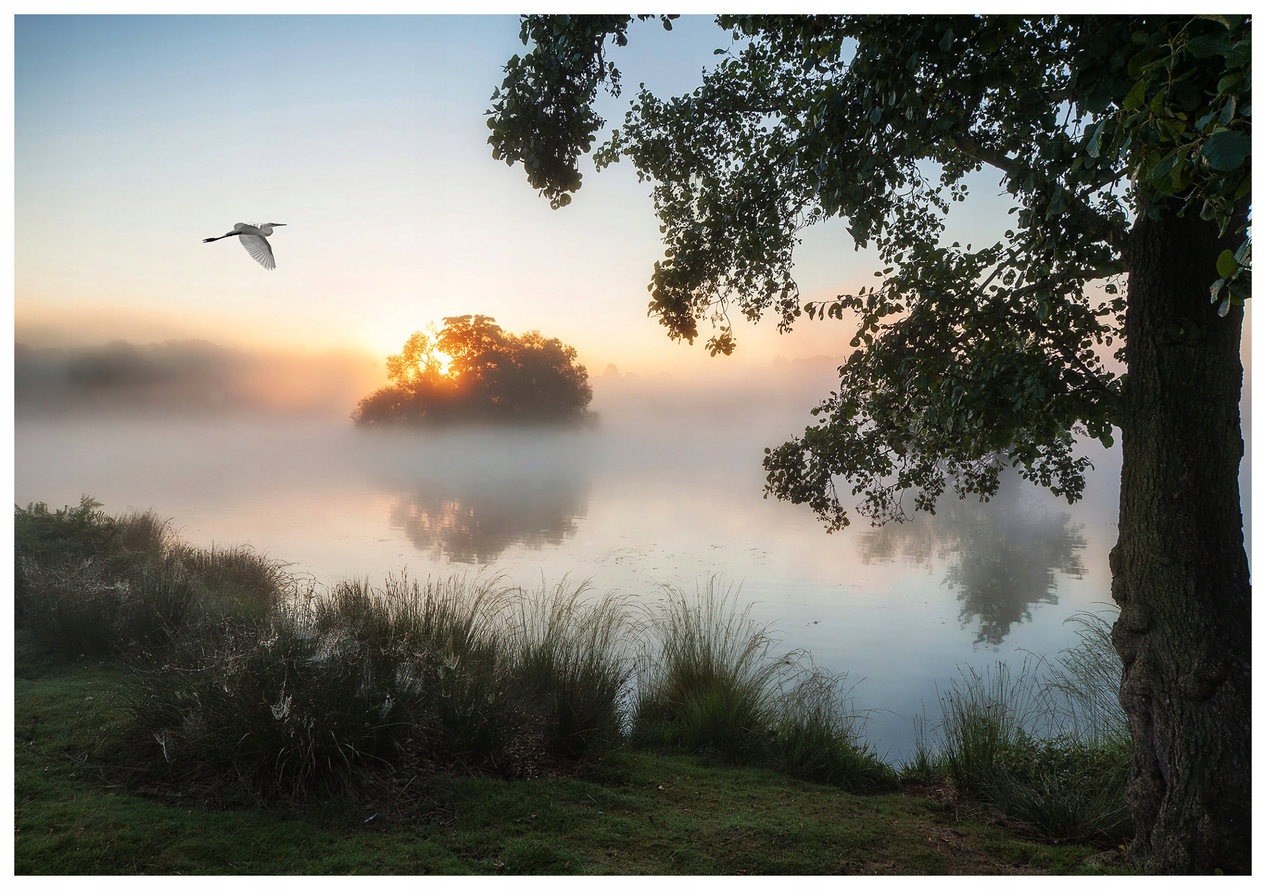Fototapeta Jazero v hmle ráno 312x219 Pokoj a harmónia prírody lepidlo