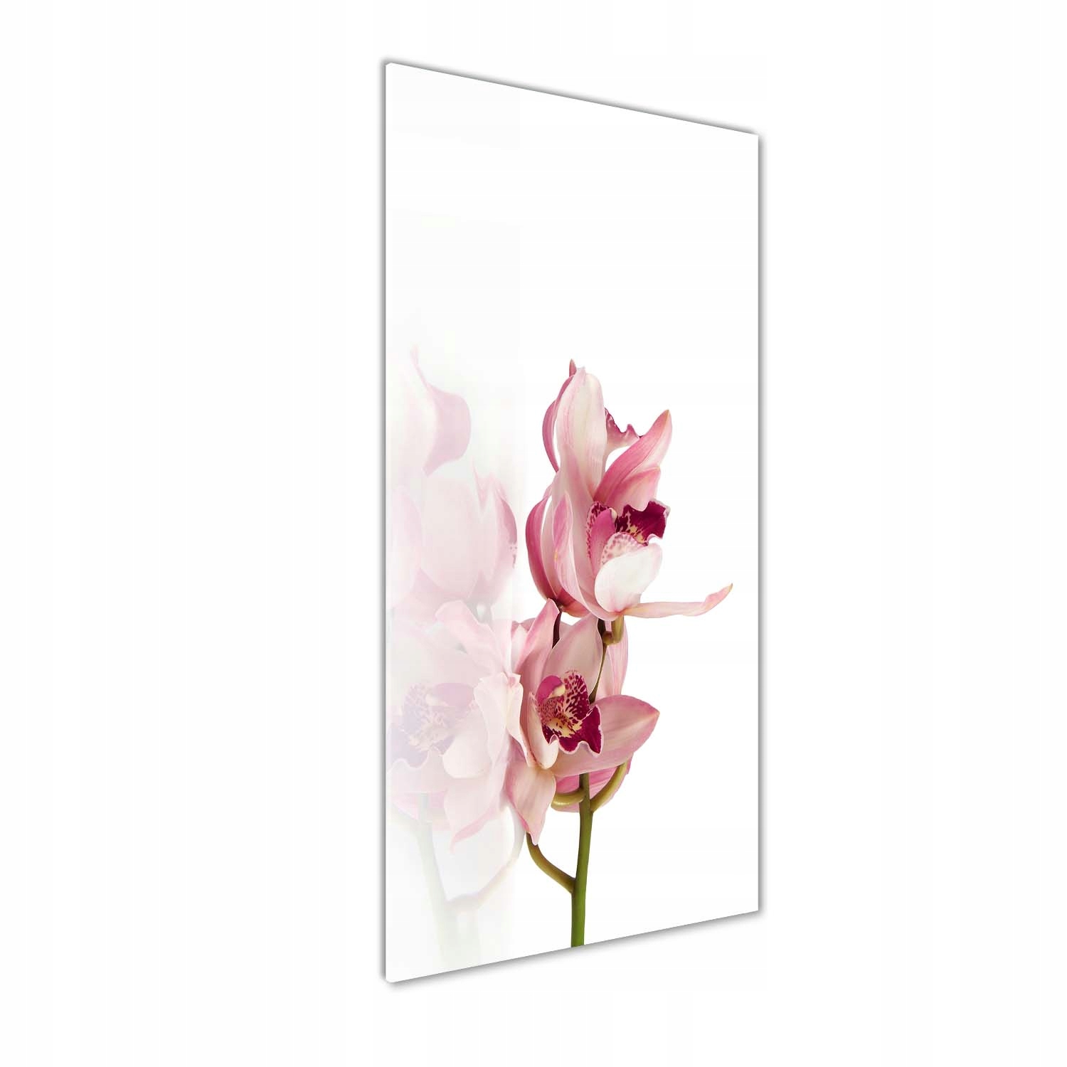 

Foto obraz szkło akrylowe Różowa orchidea 50x125cm