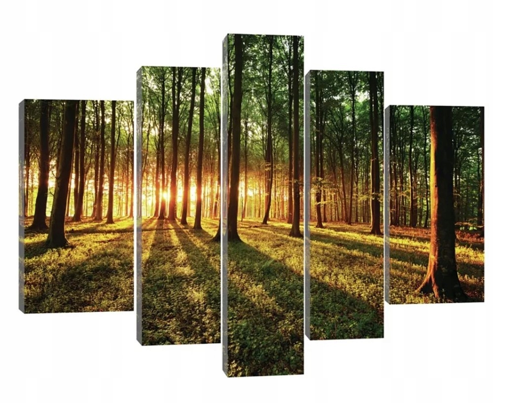 Obraz 170x100 Lesná krajina východ/západ slnka lúče cesta príroda