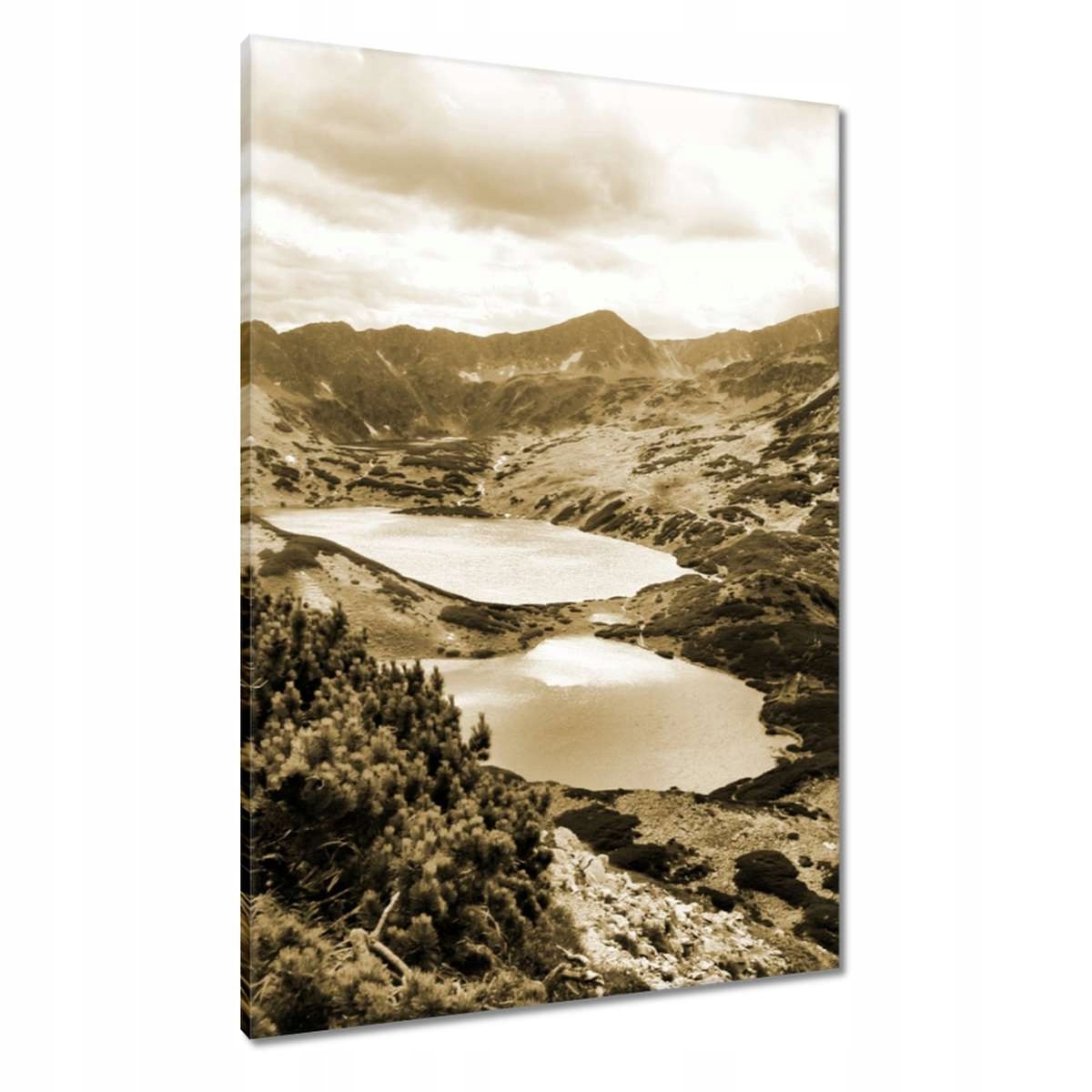 Obrazy 70x100 Tatry Polské hory Pohled