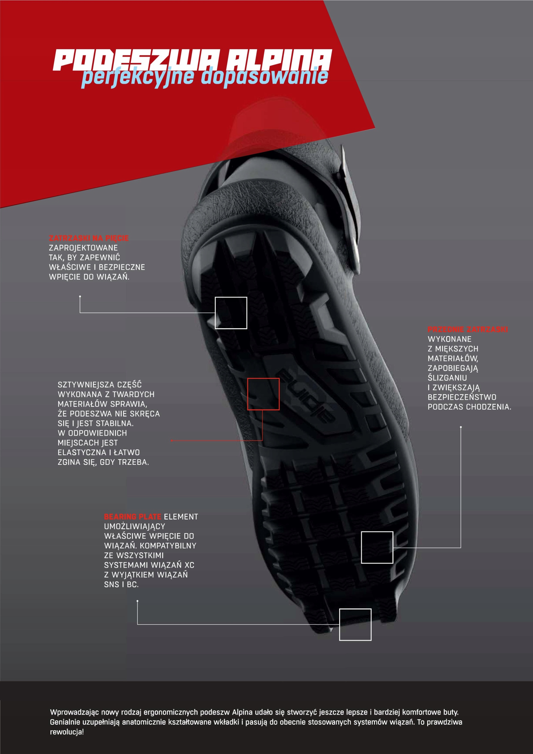 Buty do nartorolek ALPINA / nowy model COMBI 45 EU Marka Alpina