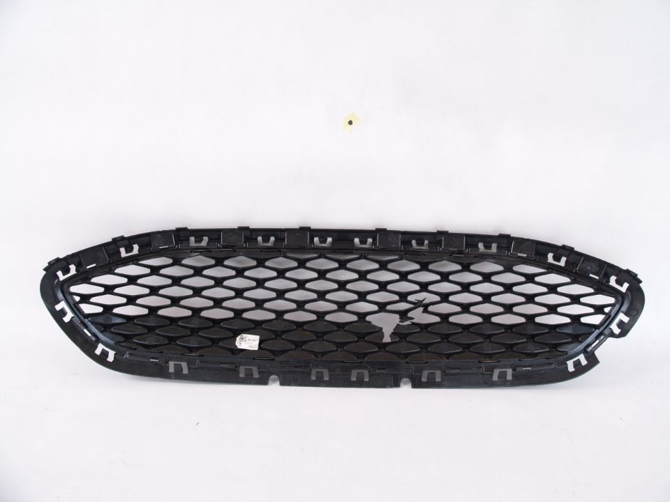 Ford Fiesta Active Grille mk8 17r