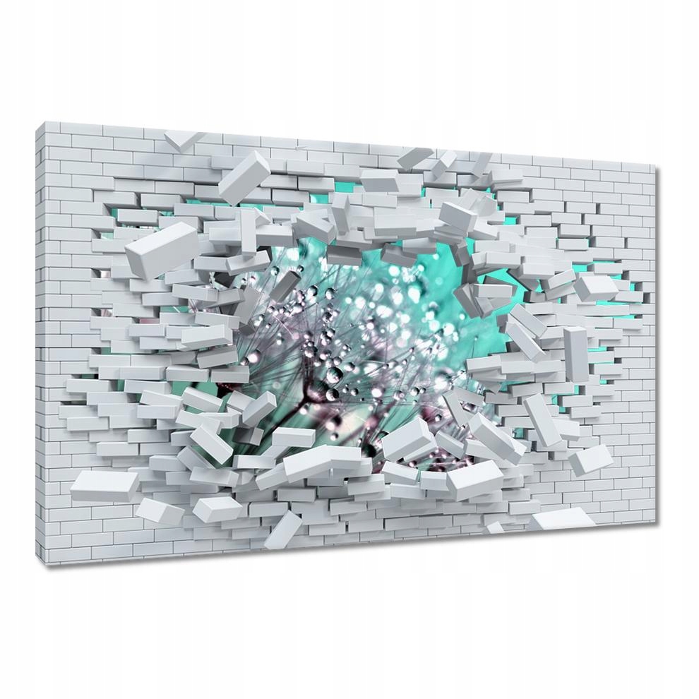 

Obrazy 60x40 Krople rosy Dmuchawiec