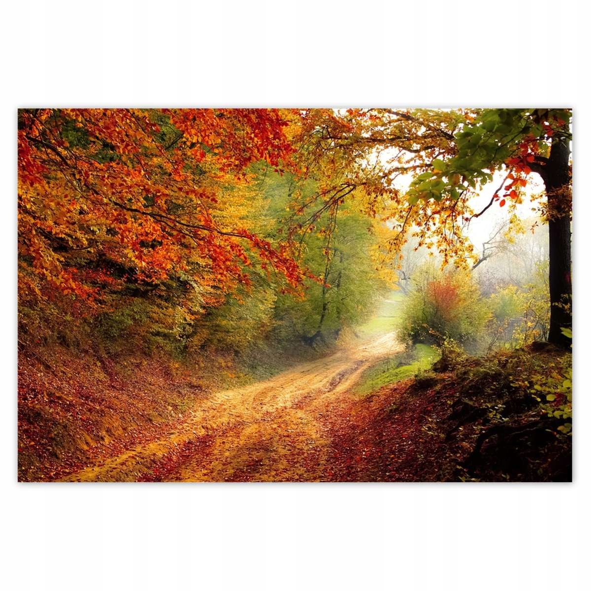 Plakáty 200x135 Cesta v lese podzim