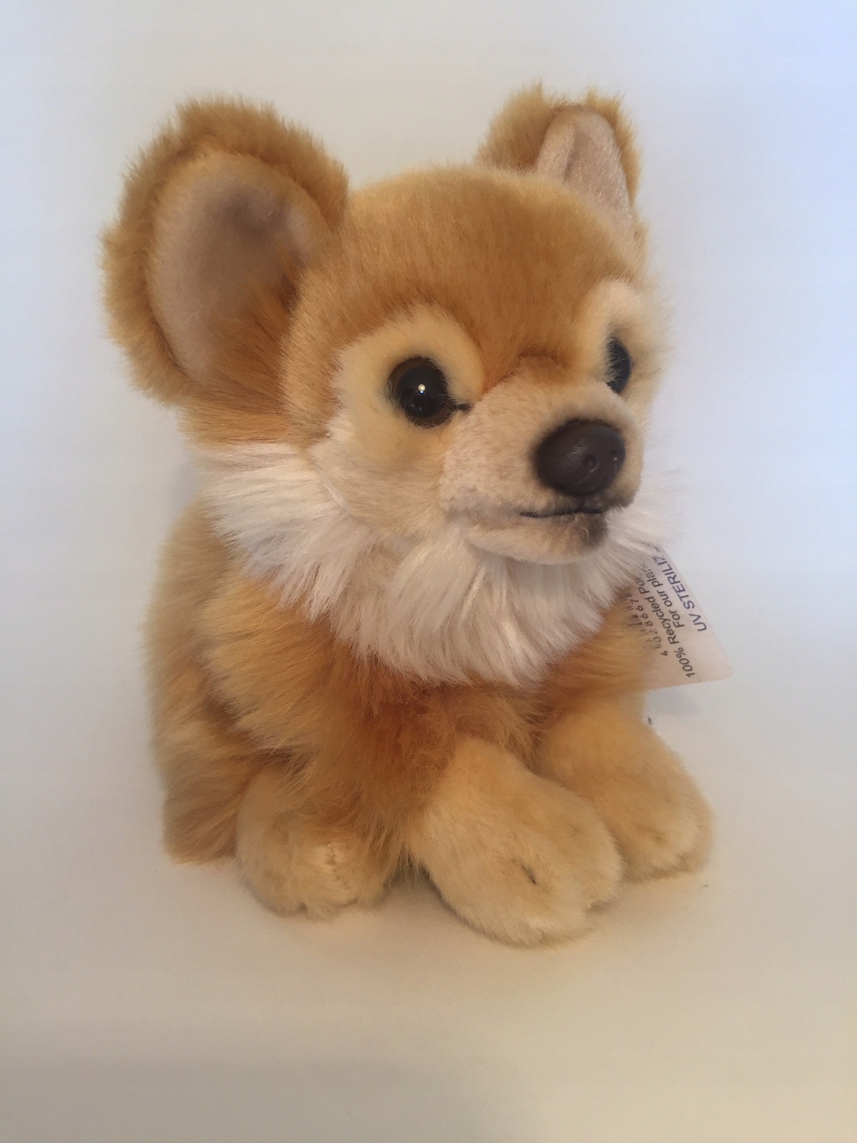 

Maskotka Pies chihuahua 18cm pluszak Pies