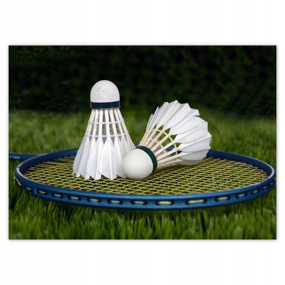 

Fototapety flizelina 254x184 Lotki Badminton