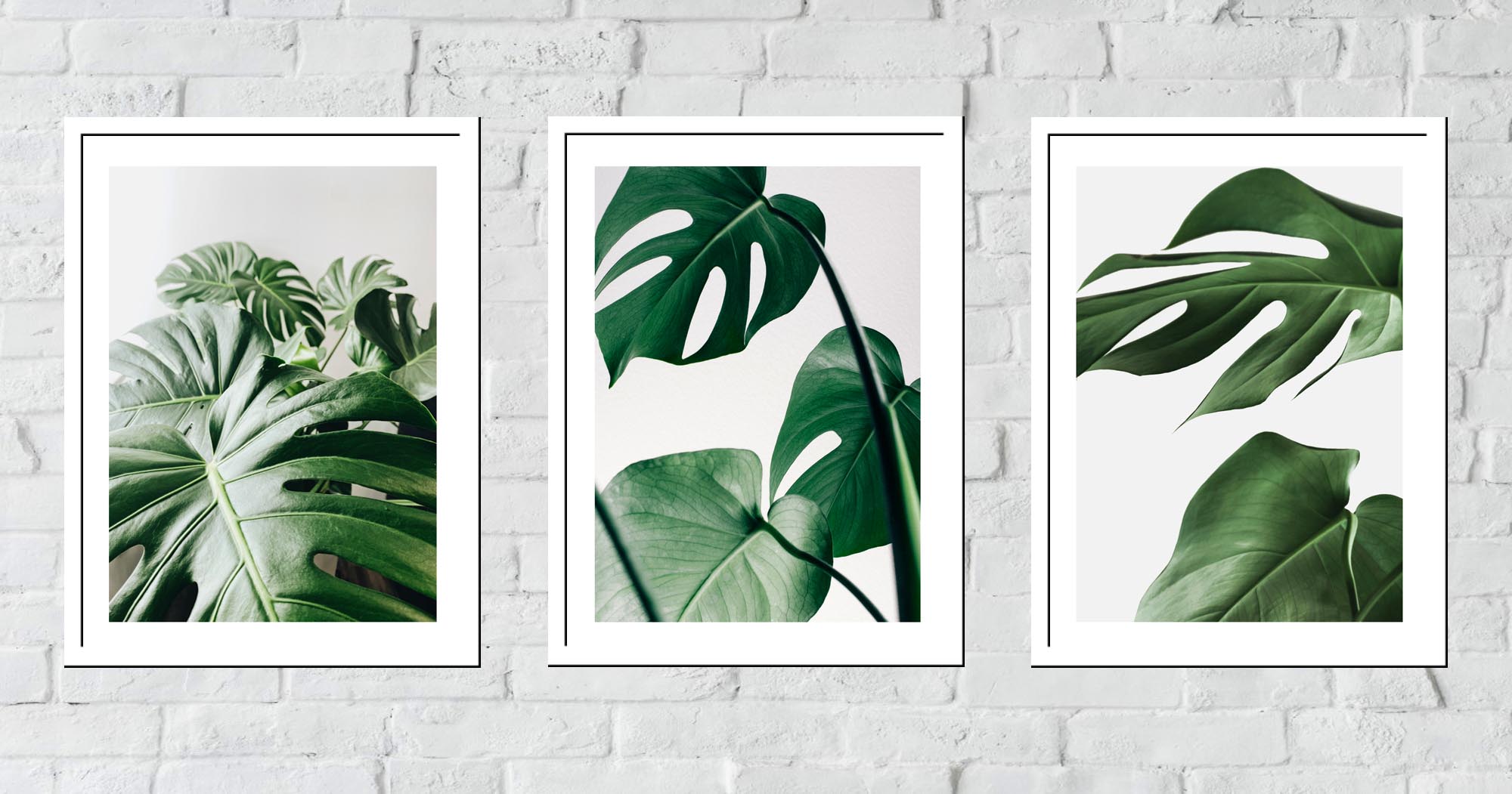 30x40 ZESTAW OBRAZY W RAMIE PLAKATY RAMKA MONSTERA ROŚLINA BOHO NATURA Wysokość produktu 40 cm