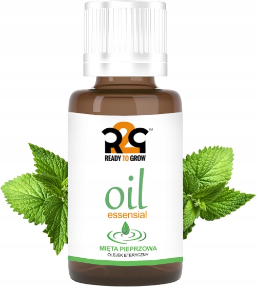 

R2G Naturalny Olejek Eteryczny Mięta Pieprzowa 30m