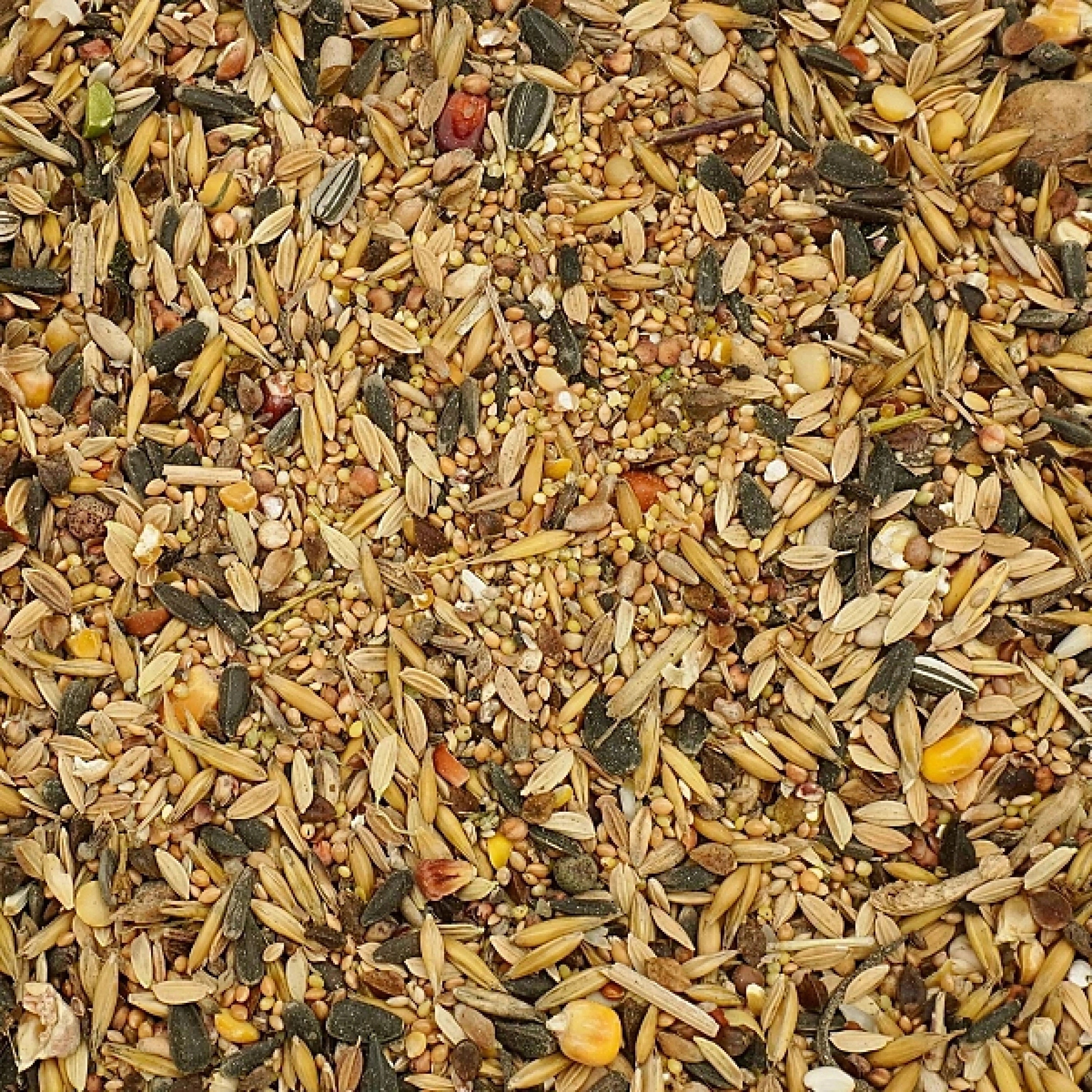 20kg Uniwersalna karma dla ptaków ziarno pokarm zimowy karmnik Champi Kod producenta 105615