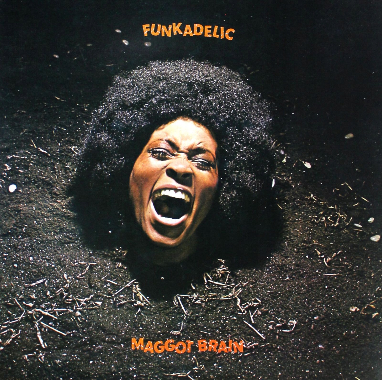 

Funkadelic: Maggot Brain (winyl)