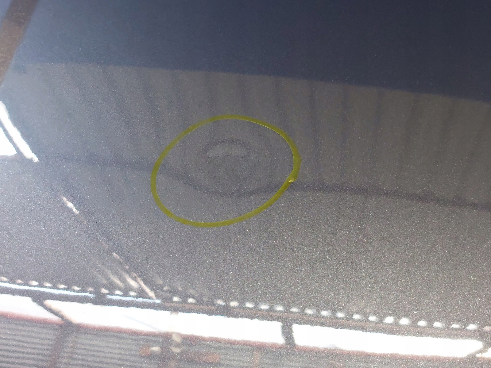 A1bf091f4f4dad5edf29ebc1cbb2