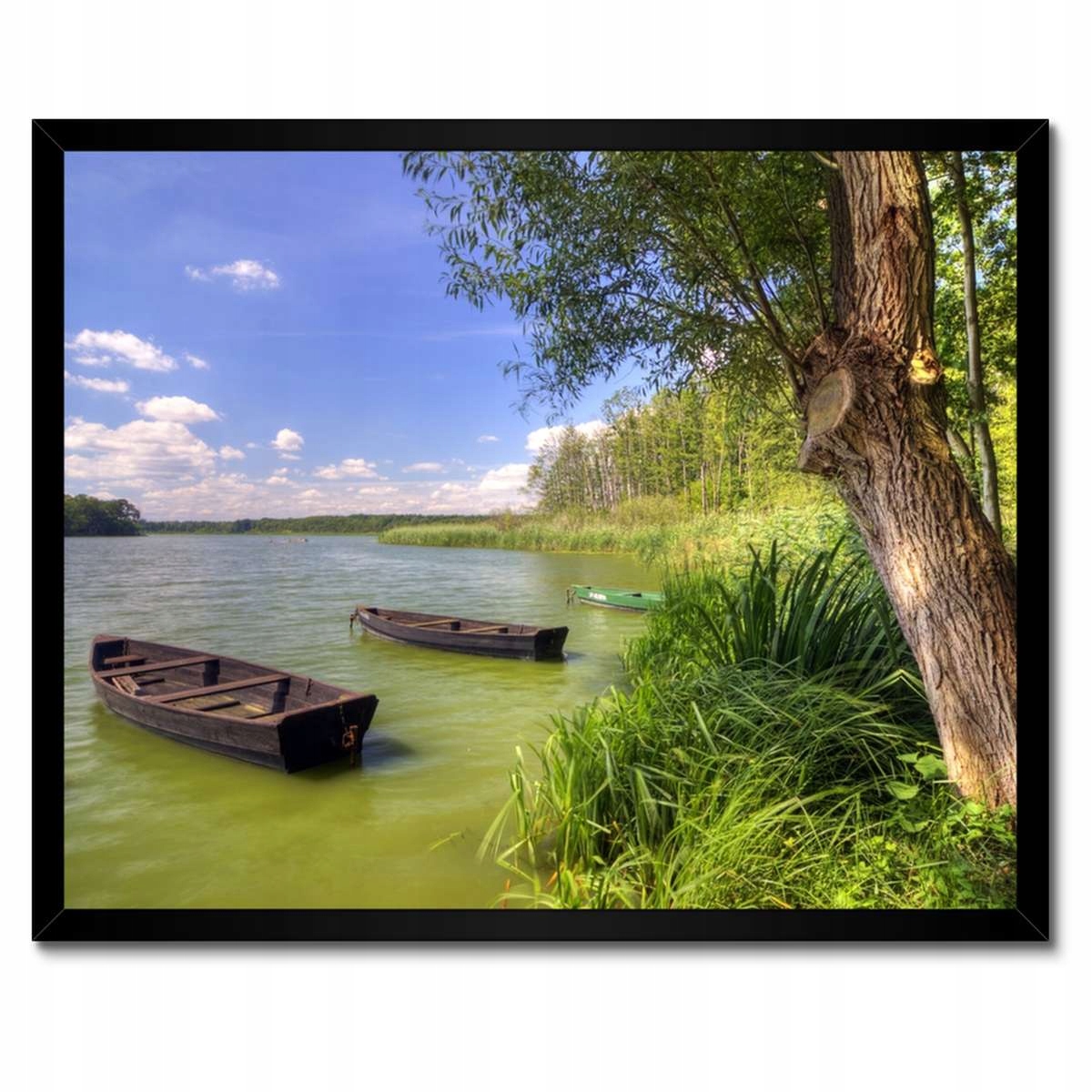 Plakáty v rámu 50x40 Spacer Wolsztyński park
