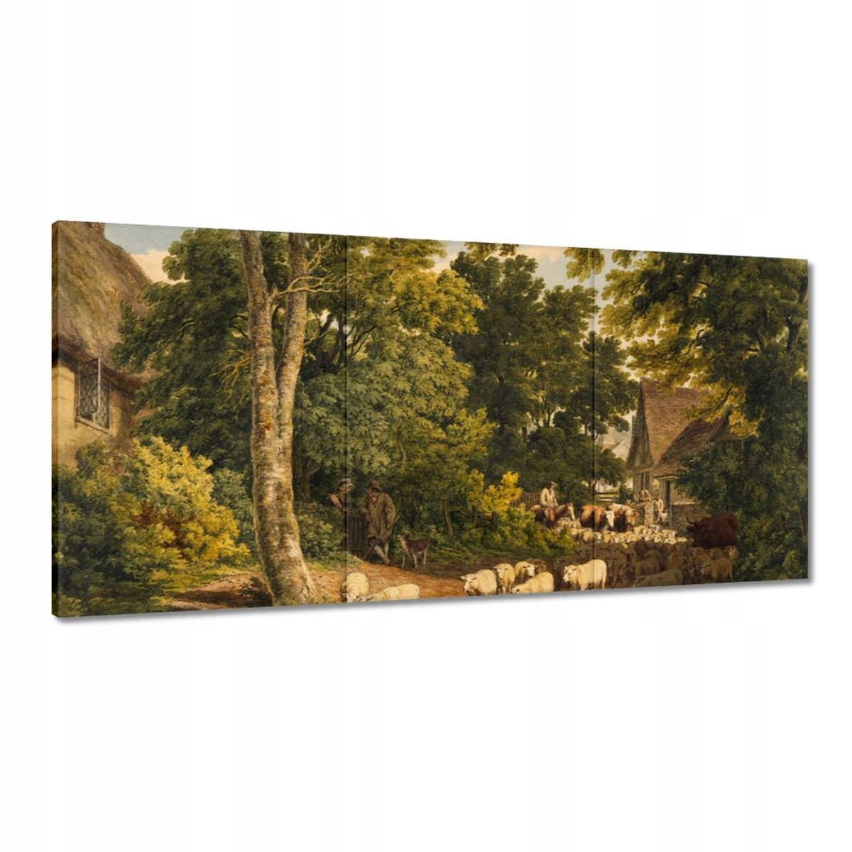 Obrazy 180x90 Ovce a ovečky