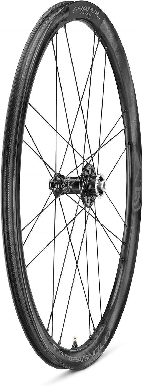 Campagnolo Shamal Carbon C21 Přední kolo Dvoucestná kotoučová brzda
